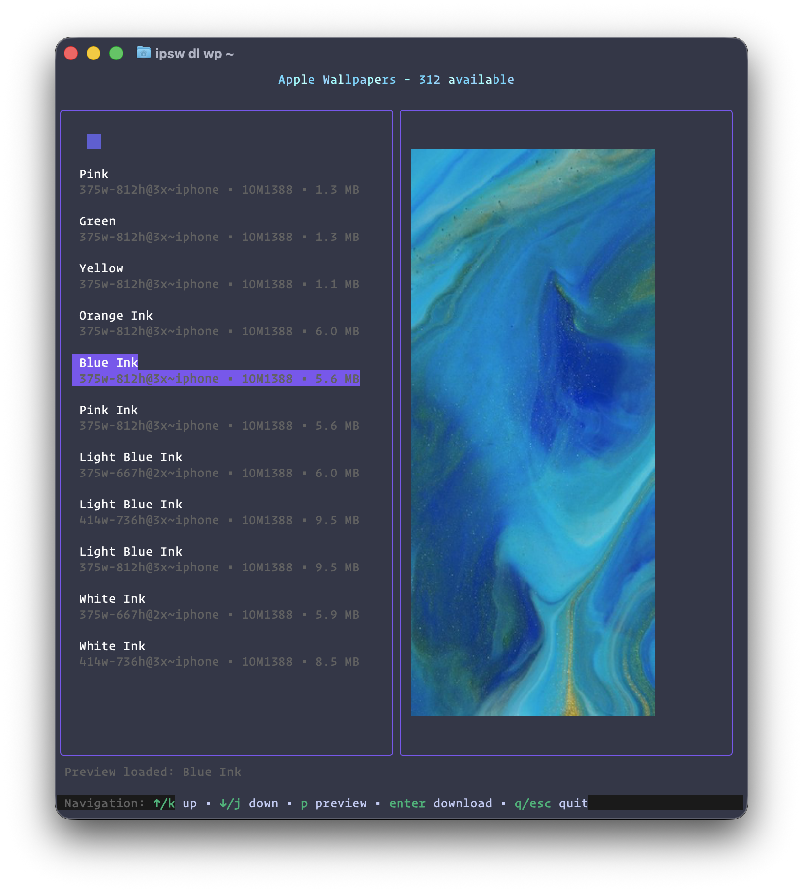 Download WP Interface